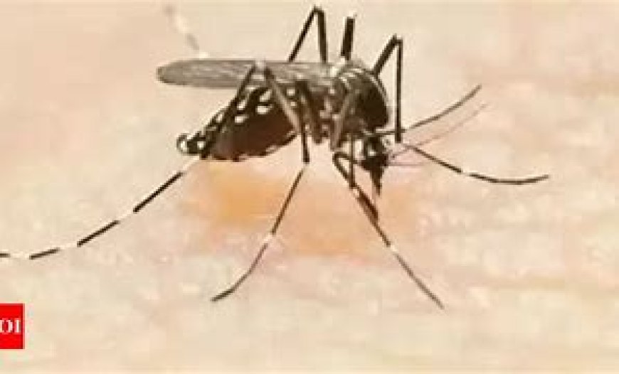 Mizoram records two Dengue deaths in 2023