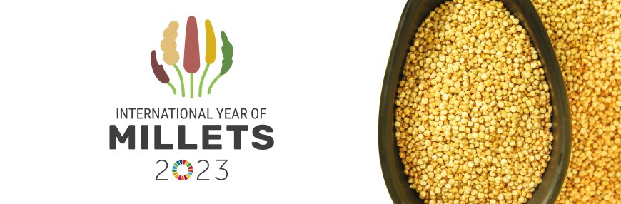 Details of Millet (Shree Anna) Mahotsavs in International Year of Millets 2023