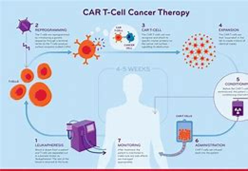 Amrita introduces CAR T-cell Therapy for blood cancer in Kerala