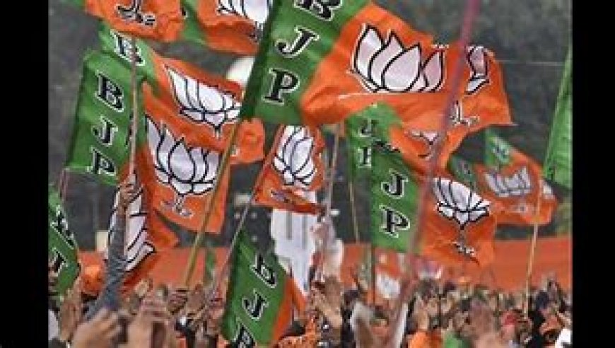 BJP will conduct constructive Lok Sabha election campaign in Assam: CM