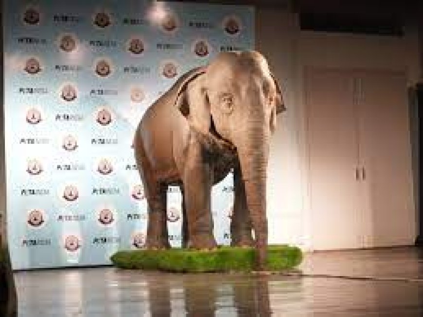 Animatronic Elephant to teach children about animal welfare