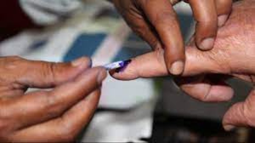 Maha: 54.85 per cent voting registered in Vidarbha