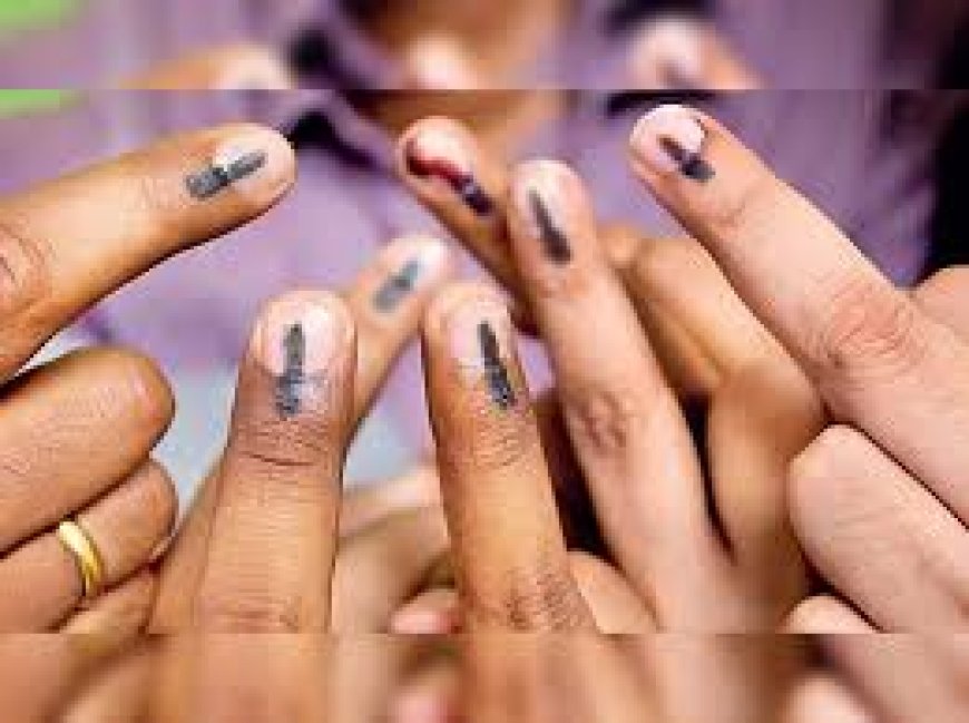 Maha: 258 candidates in fray for LS polls in 3rd phase