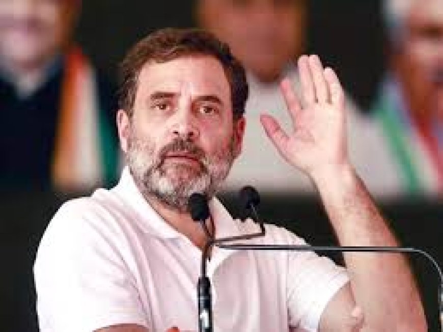 Second phase of election on Friday will decide fate of 1210 candidates including Rahul Gandhi