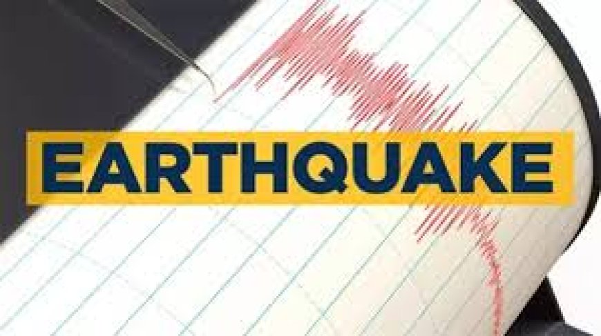 5.9-magnitude quake hits Mid-Indian Ridge: USGS