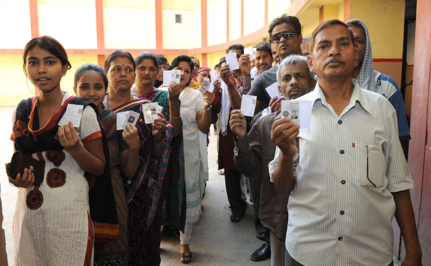 Mumbai: After scrutiny of candidature applications, 369 applications valid out of 447