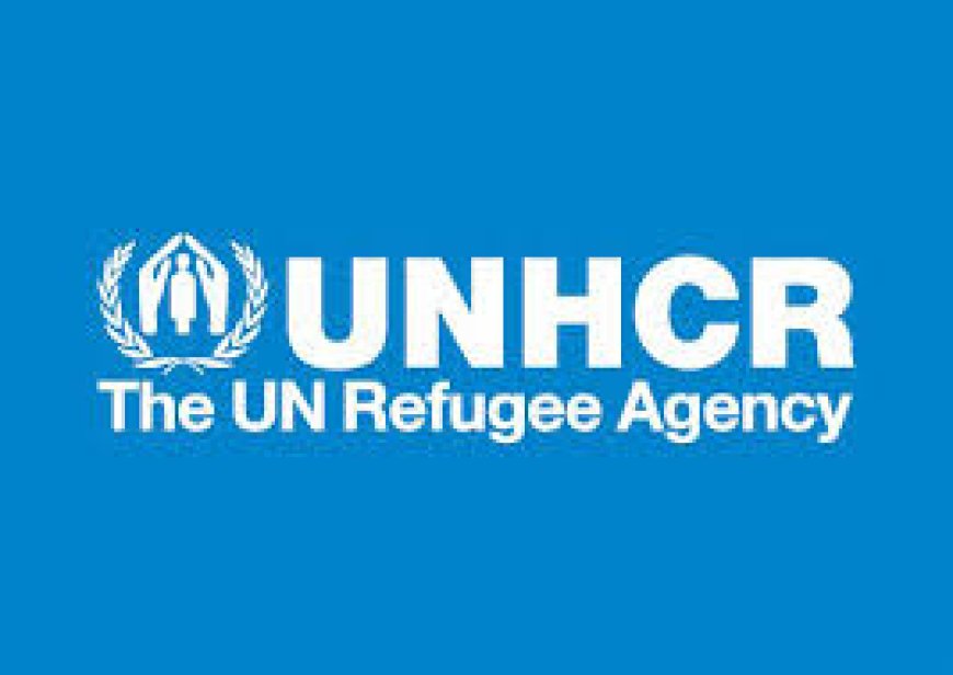 UNHCR says 1.3 mln Sudanese refugees returned home over nearly 6 yrs